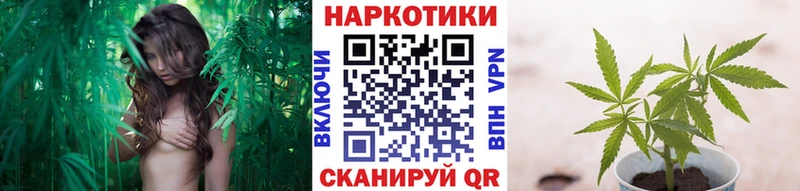 Наркошоп купить Кокаин МЕФ СК МАРИХУАНА Гашиш Кировск