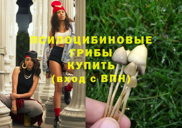 гашик Волоколамск