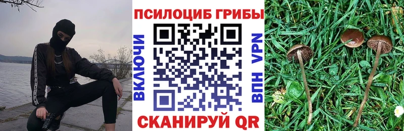 Псилоцибиновые грибы мицелий  Купить закладки  Кировск 