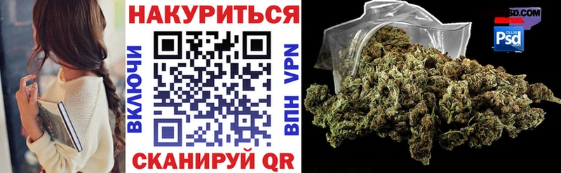 Бошки марихуана сатива  Купить  Кировск 